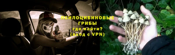 ECSTASY Балабаново