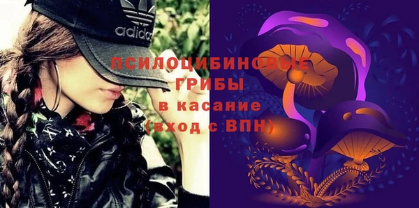 кокс Баксан