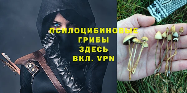 кокс Баксан