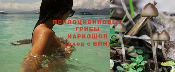 кокс Баксан