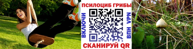 Галлюциногенные грибы GOLDEN TEACHER  Энем 